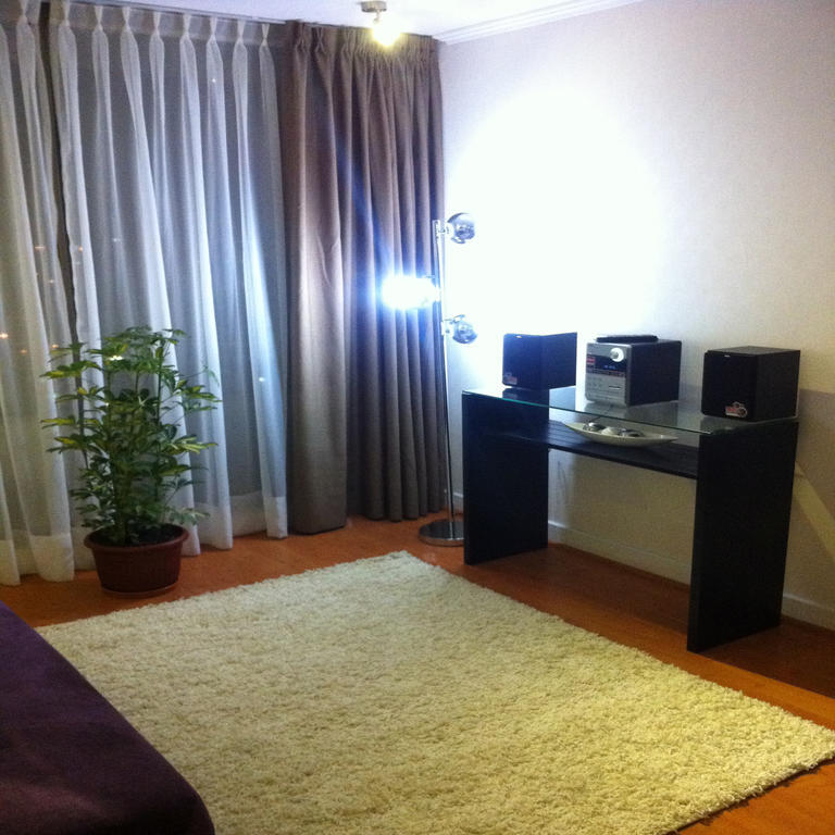 M-Montt Providencia Apartamentos Amoblados Santiago Phòng bức ảnh